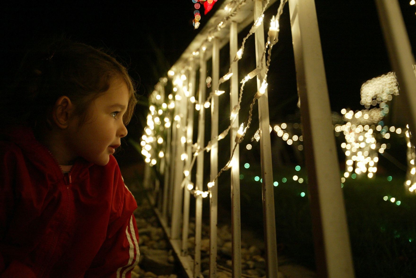 Napa XMas Lights